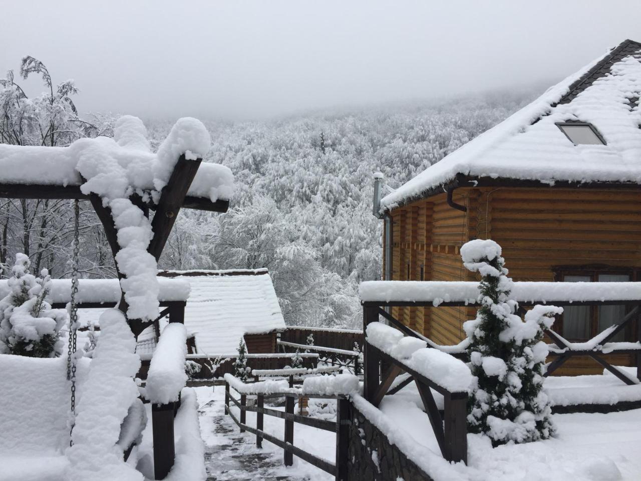 Sadyba Sribne Dzherelo Otel Ilnytsya Dış mekan fotoğraf