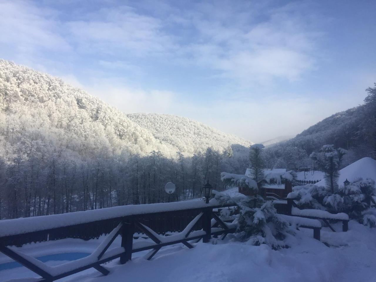 Sadyba Sribne Dzherelo Otel Ilnytsya Dış mekan fotoğraf